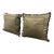 Early 21st Century Taupe Silk Pillows- Set of 2 For Sale