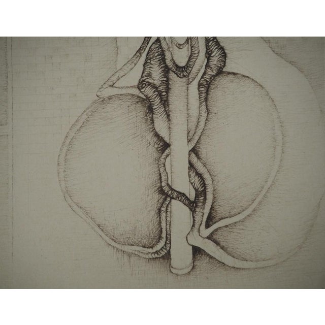 Fred Deux, Growth, Original Engraving For Sale - Image 5 of 6