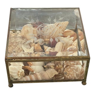 Antique Crystal Bevelled Glass Brass Box With Sea Shells For Sale