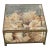 Antique Crystal Bevelled Glass Brass Box With Sea Shells For Sale