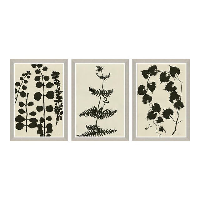 Ink on Paper - Fern, Vine, and Branches by Susan Hable For Sale