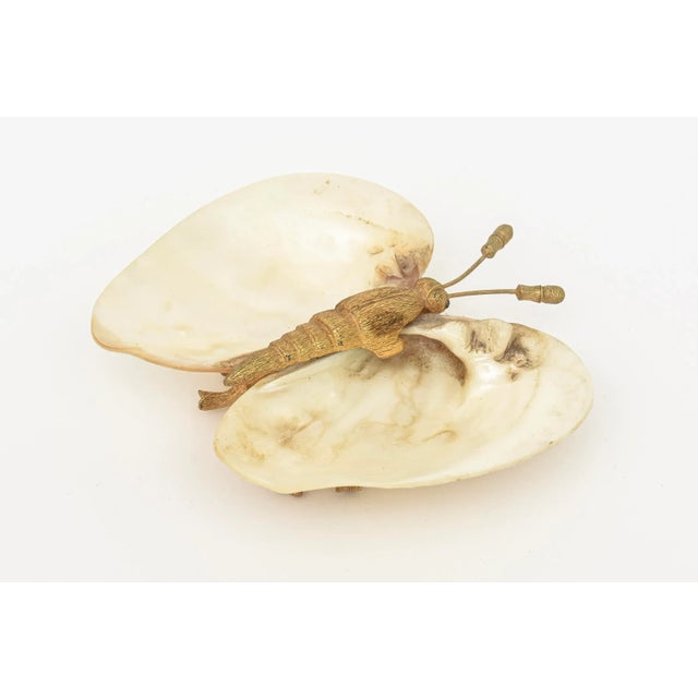 This lovely shell bowl has a gold plated butterfly that connects the 2 shells. Great as a soap dish, serving bowl, ring...