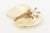 This lovely shell bowl has a gold plated butterfly that connects the 2 shells. Great as a soap dish, serving bowl, ring...