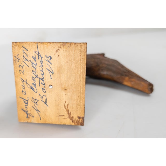 Mid-Century Folk Art Found Driftwood Painted Goose or Duck Head For Sale - Image 9 of 9