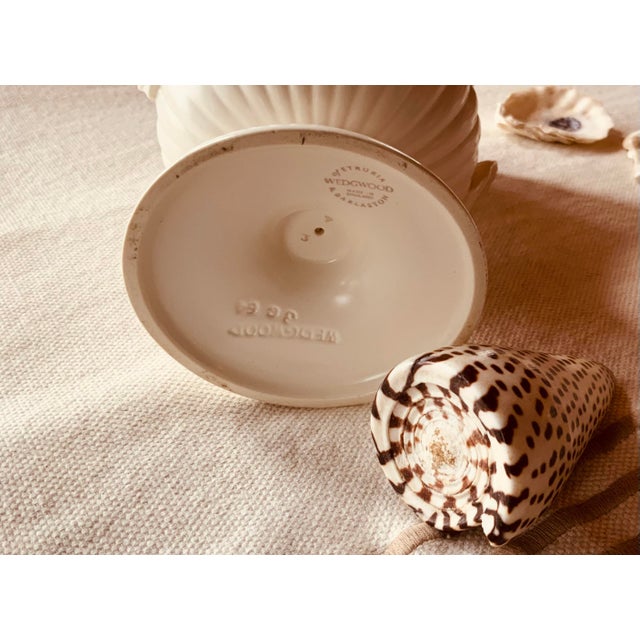 Rare 1930s Wedgwood Shell-Motif Urn Vase - Moonglow Glaze Perfection For Sale - Image 11 of 12