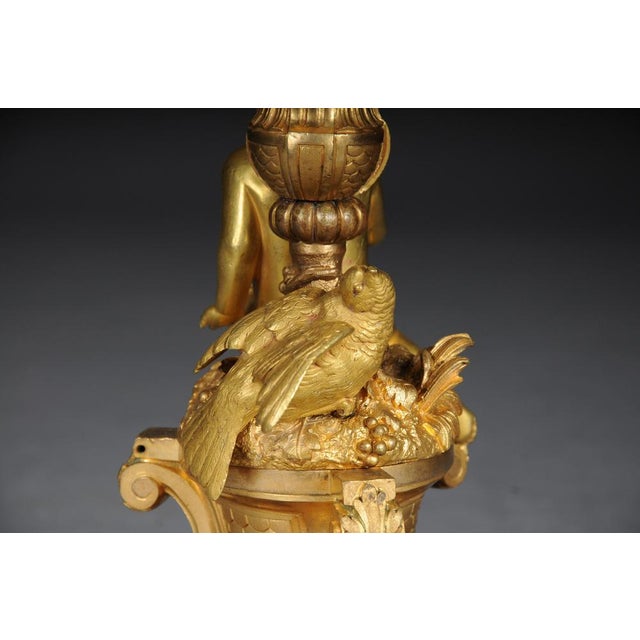 Brown Louis XV Napoleon III Salon Floor Lamp, Paris, France, 1880s For Sale - Image 8 of 18