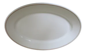 19th Century Traditional Maddock's China Trenton Ironstone Large Oval Platter