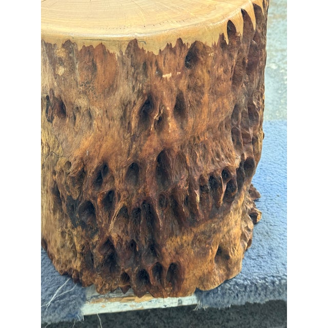 Coffee Organic Modern Live Edge Tree Side Table/Stool For Sale - Image 8 of 12