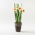- Handcrafted in Stockholm by Mia Dackeborg of Raw Studios, these whimsical paper flowers bring seasonless, no-maintenance...