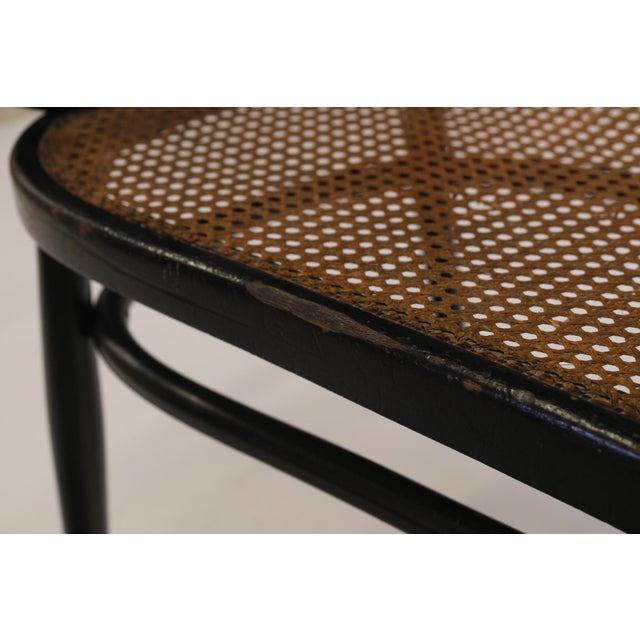 Art Nouveau Bentwood Ebonised Bench No 96 attributed to Thonet, 1900s For Sale - Image 14 of 18