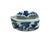 Blue Tiny Small Blue White Oriental Bats Graphic Porcelain Container For Sale - Image 8 of 10