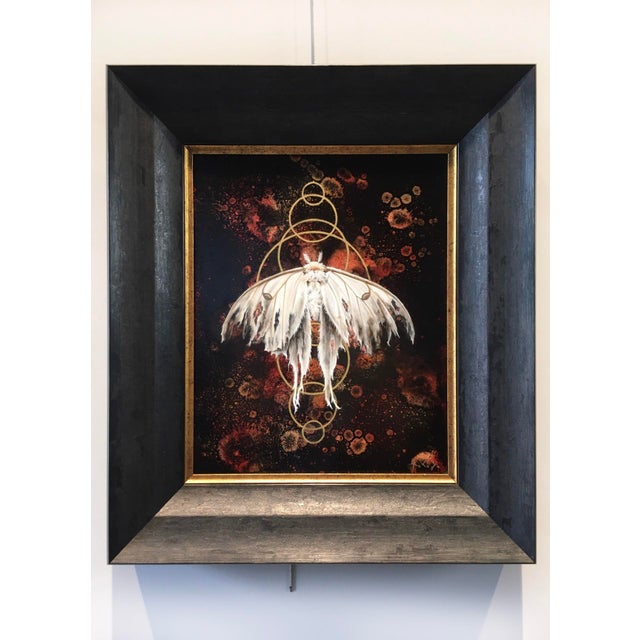 The artwork features a striking white moth, its delicate wings adorned with intricate details, set against a dark,...