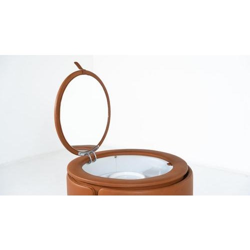 Animal Skin Dilly Daily Vanity in Brown Leather attributed to Luigi Massoni for Poltrona Frau, 1968 For Sale - Image 7 of 18