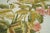 Olive Aubusson Design Tapestry 6'0'' X 9'0'' For Sale - Image 8 of 8