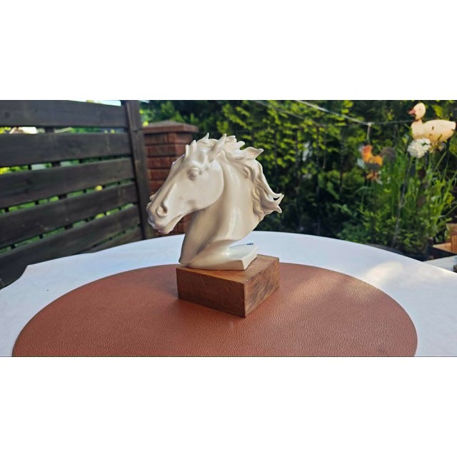 Wood Porcelain Horse Head from Aelteste Volkstedter Porzellanmanufaktur, Thuringia, 1950s. For Sale - Image 7 of 9