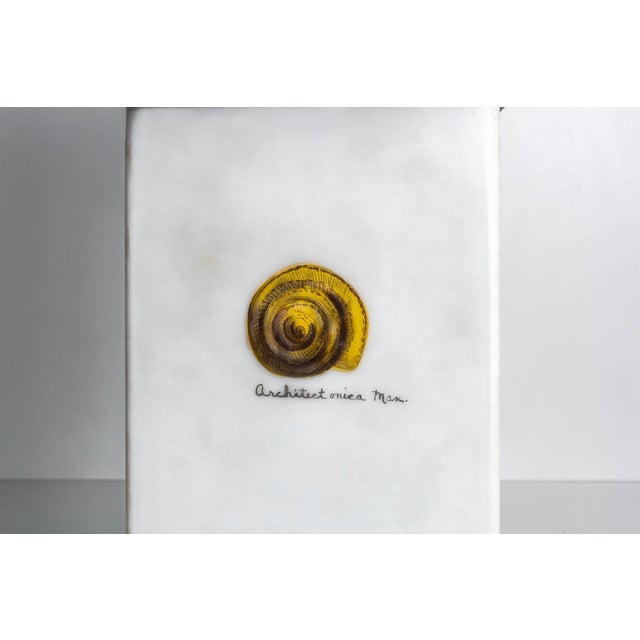 1950s Mary Hughes Sea Shell Table Top Lamp For Sale - Image 4 of 6