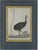 Miger, Illustration of a Cassowary Bird, 1808, Print For Sale - Image 5 of 5