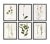 This antique botanical specimen set will add cottage charm to your home. Indulge your inner English Victorian lady. This...