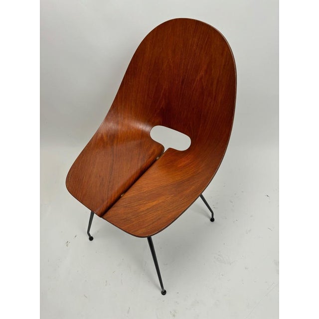 Mid-Century Modern Bent Plywood Chairs by Carlo Ratti, Italy, 1950s, Set of 4 For Sale - Image 9 of 18