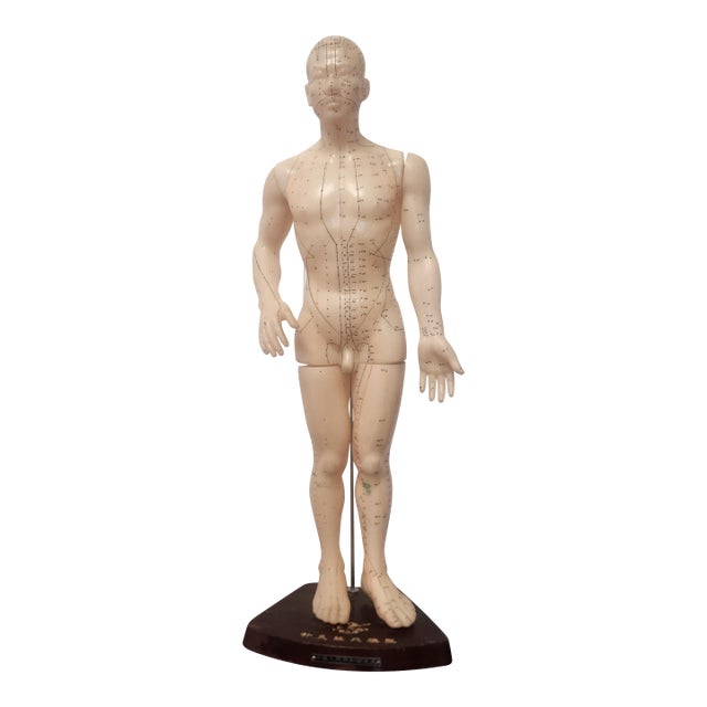 Nude Man Acupuncture Model Chinese 1950s For Sale