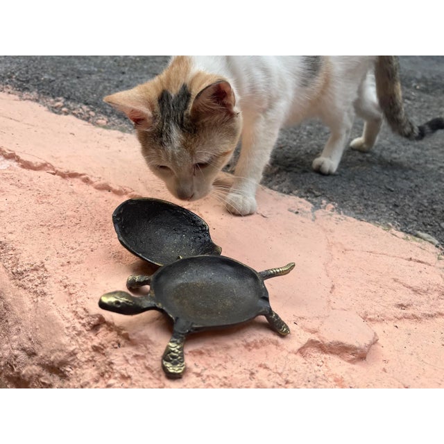 African Turtle Design Ashtray With Lid For Sale - Image 3 of 10