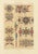 After Racinet, Gothic Illumination-Inspired Ornament Middle Ages Decorative Designs, 1869, Print For Sale - Image 6 of 10