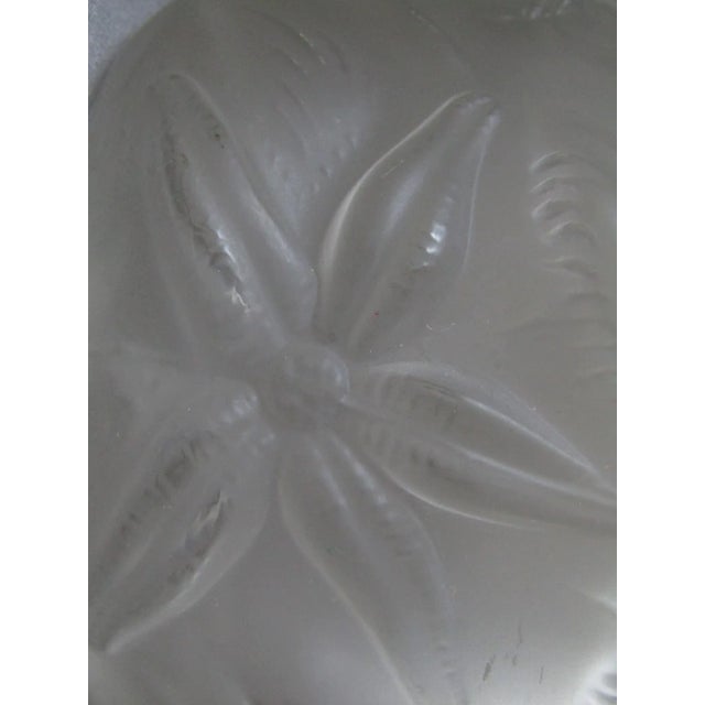 Czech Glass Marine Life Vase by Josef Inwald for Barolac, 1960s For Sale - Image 6 of 10