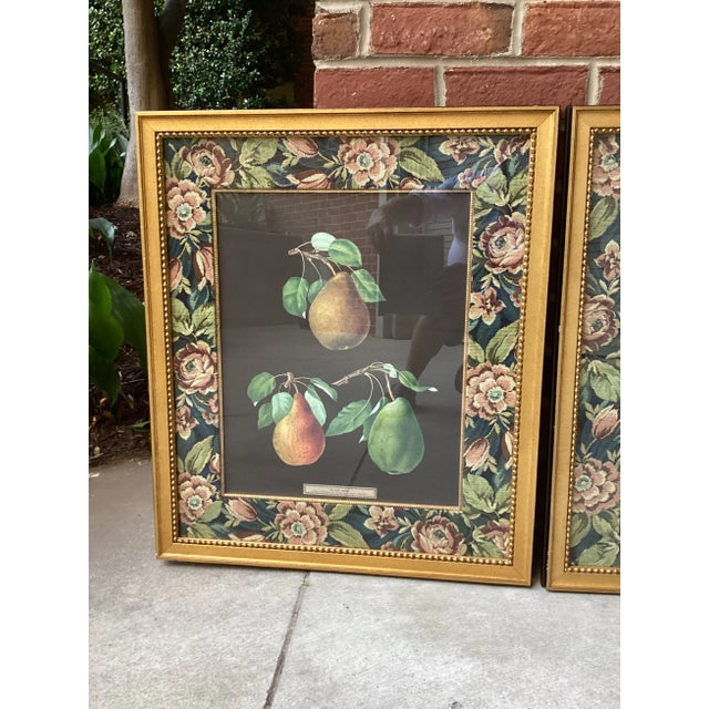 French Country Late 20th Century Pair of John-Richard Framed Botanical Prints Featuring Summer Fruits in Gold Frames With Textured Floral Matting For Sale - Image 3 of 6