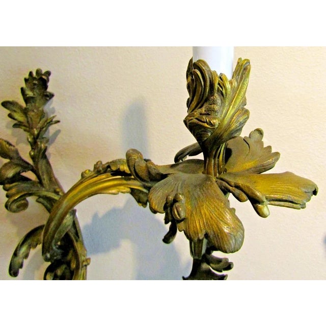 Antique French 19th Century Louis XV Gilt Bronze Two Light Wall Sconces - a Pair For Sale - Image 10 of 18