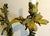 Antique French 19th Century Louis XV Gilt Bronze Two Light Wall Sconces - a Pair For Sale - Image 10 of 18