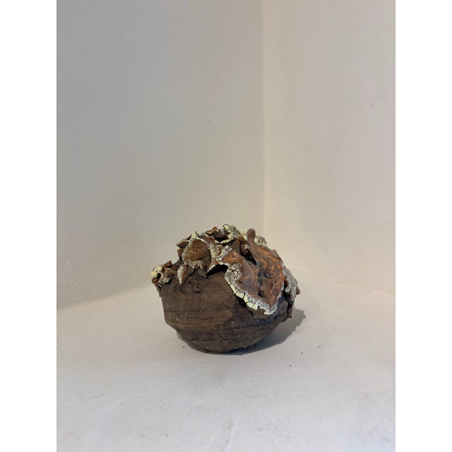 Geode with ruffled fungus Ceramic 4 x 5 x 6 "I have a recurring fantasy that, while fossil hunting, I come across the...