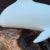 Vintage John Perry Dolphin Sculpture on Burled Teak Root Base For Sale - Image 10 of 10