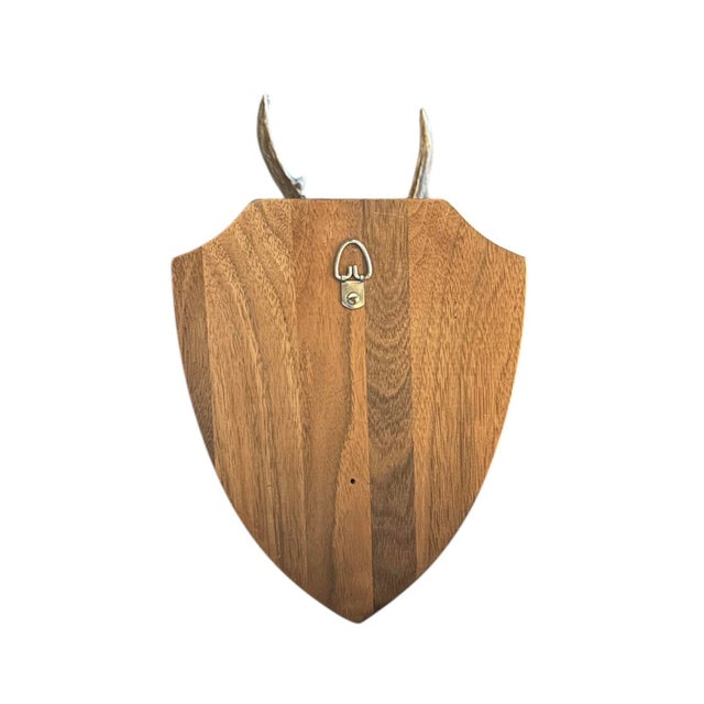 Mid 20th Century Vintage Black Forest German Trophy Mounted Roe Deer Antlers on Woooden Plaque For Sale - Image 5 of 5