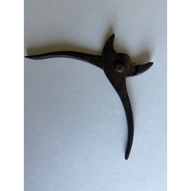 Victorian Antique Late 19th Century Forged Iron Specialty Pliers, Circa 1875-1895, Partial Ny Maker Stamp For Sale - Image 3 of 7
