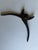 Victorian Antique Late 19th Century Forged Iron Specialty Pliers, Circa 1875-1895, Partial Ny Maker Stamp For Sale - Image 3 of 7