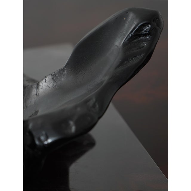 Modern Design Black Driftwood Sculpture Tray For Sale - Image 9 of 9