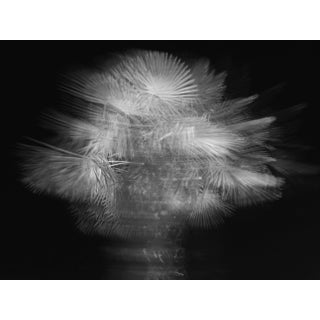 Contemporary Abstract Photographic B&W Print For Sale