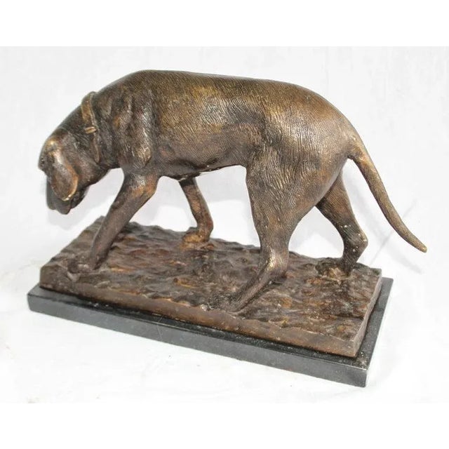 A french bronze figure of a dog. Early 20th century. Dark brown patination. Shown standing with head sniffing the ground....