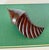 Vintage Large Carved Ironwood Conch Shell Sculpture Objects, a Pair For Sale - Image 12 of 16