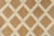 Nancy Corzine Antinori Blond Silk Cut Velvet Fabric - Priced Per Yard