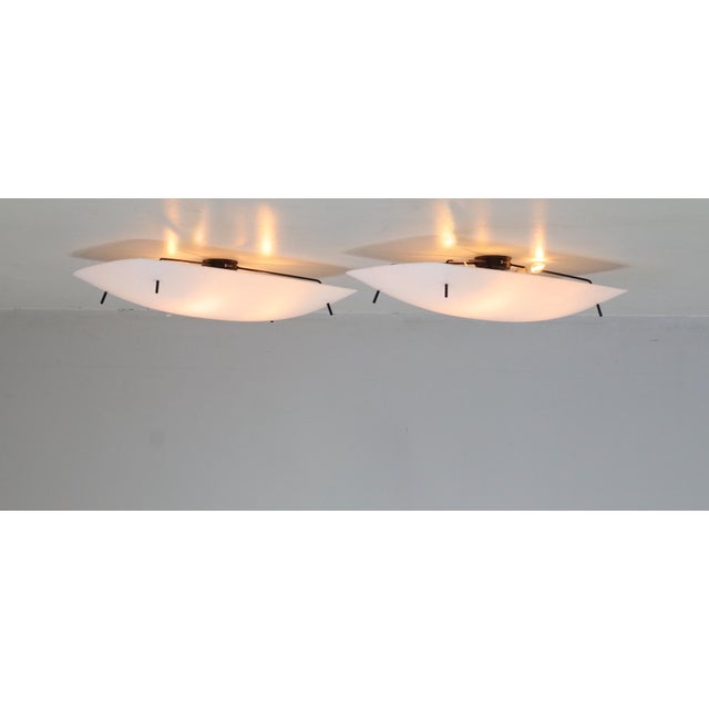 Model 3032/F Ceiling Lamp by Gino Sarfatti for Arteluce Italia, 1954, Set of 2 For Sale - Image 6 of 13