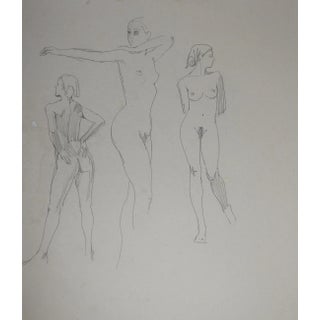 Female Nude Study Drawings by Max Jordan For Sale