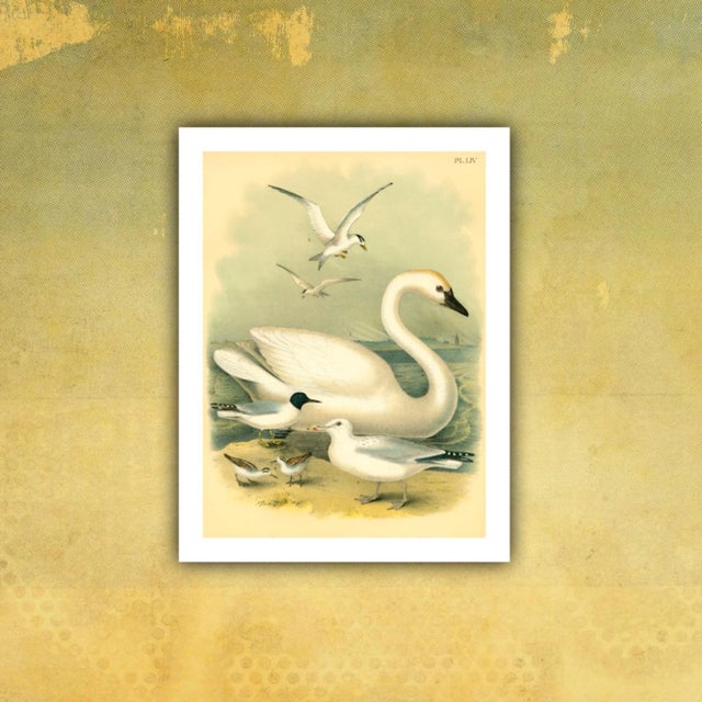 Featured is a beautiful vintage museum-quality print of an original bookplate from the late 1800s. It is printed on...