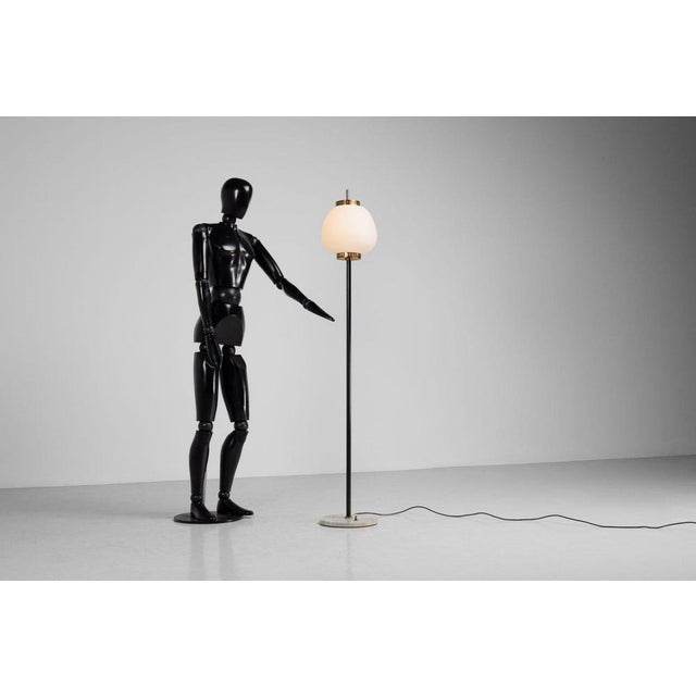 Standard Floor Lamp by Bruno Gatta for Stilnovo, 1951 For Sale - Image 3 of 15