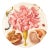 Botaniste Flower Side Plates, Set of 4 For Sale In New York - Image 6 of 8