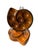 Vintage Honey Amber Majolica Escargot Plates / Dishes – Set of 6 For Sale - Image 4 of 9
