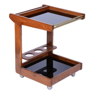 Mid-Century Modern Trolley in Oak and Chromed Steel, Czech, 1960s For Sale