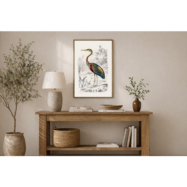 Illustration Purple Heron Antique Illustration, Vintage Bird Art Print Reproduction, 24″ × 36″ For Sale - Image 3 of 9