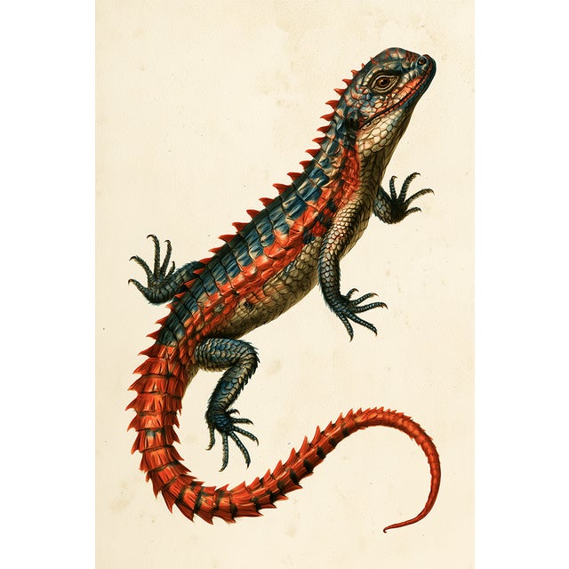 Set of 24 — Natural History Cabinet of Curiosities | 19th-Century Natural History Plates | Vintage Scientific Illustration | Gallery Wall Collection For Sale - Image 9 of 18