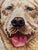Vintage Golden Retriever Needlepoint Pillow For Sale - Image 4 of 8